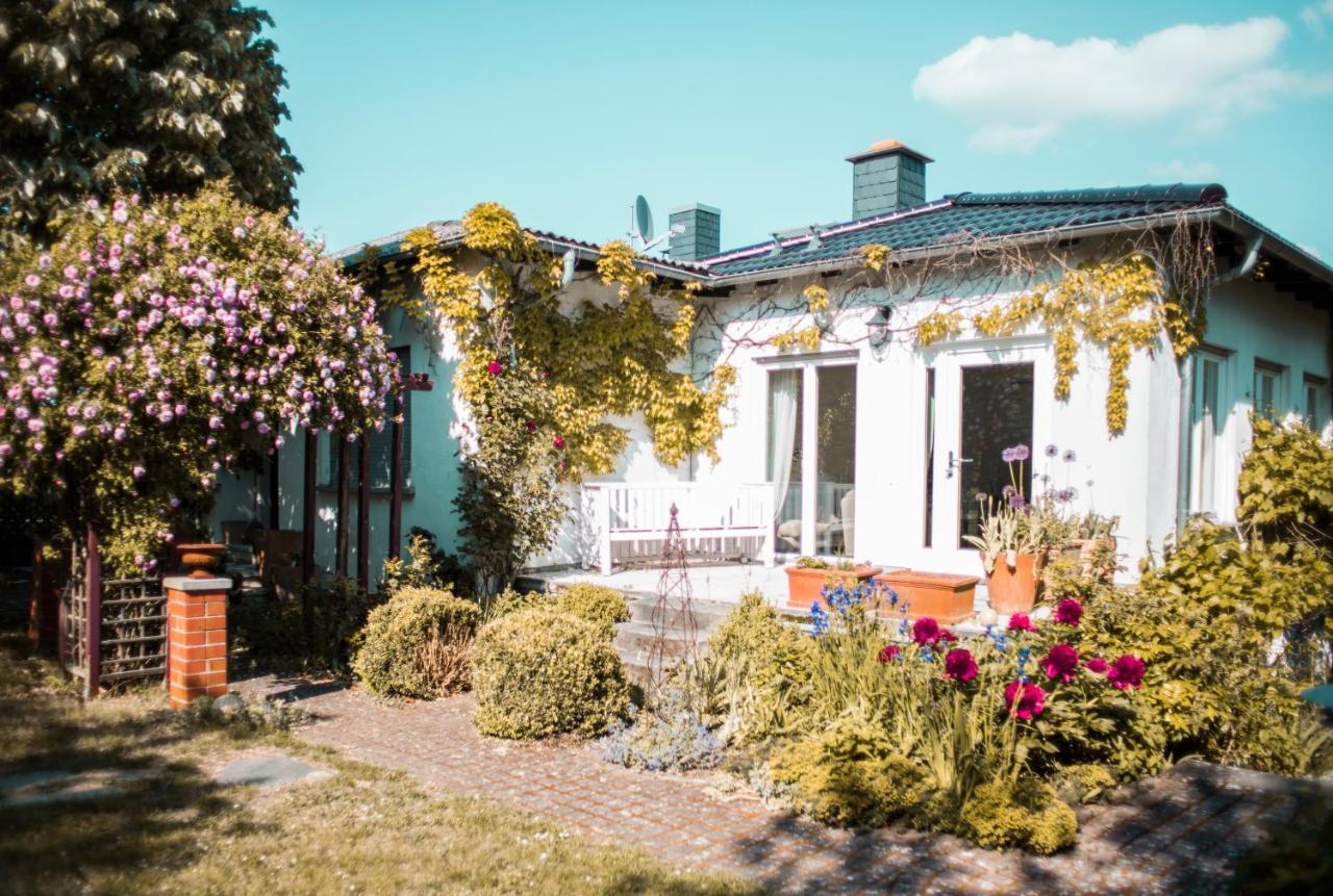 Bed & Breakfast Unter Den Linden Hungen Exteriör bild
